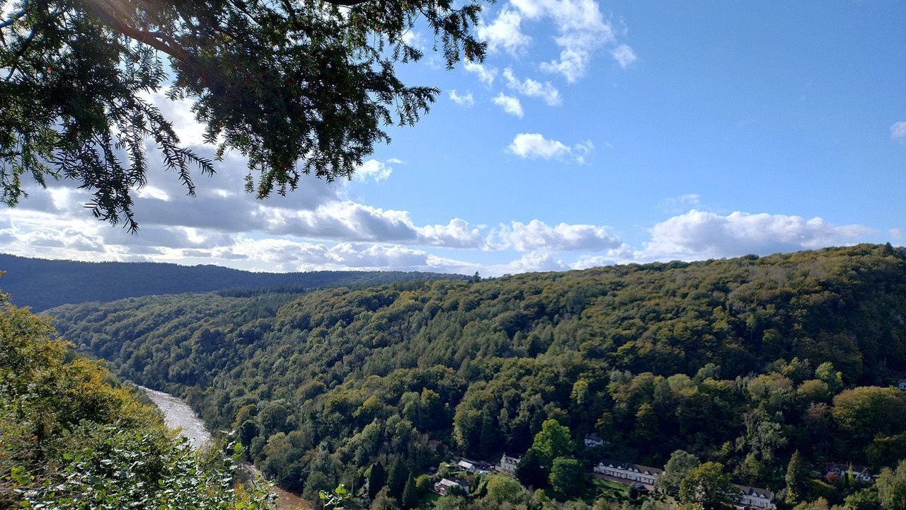 Photo of Others in Symonds Yat