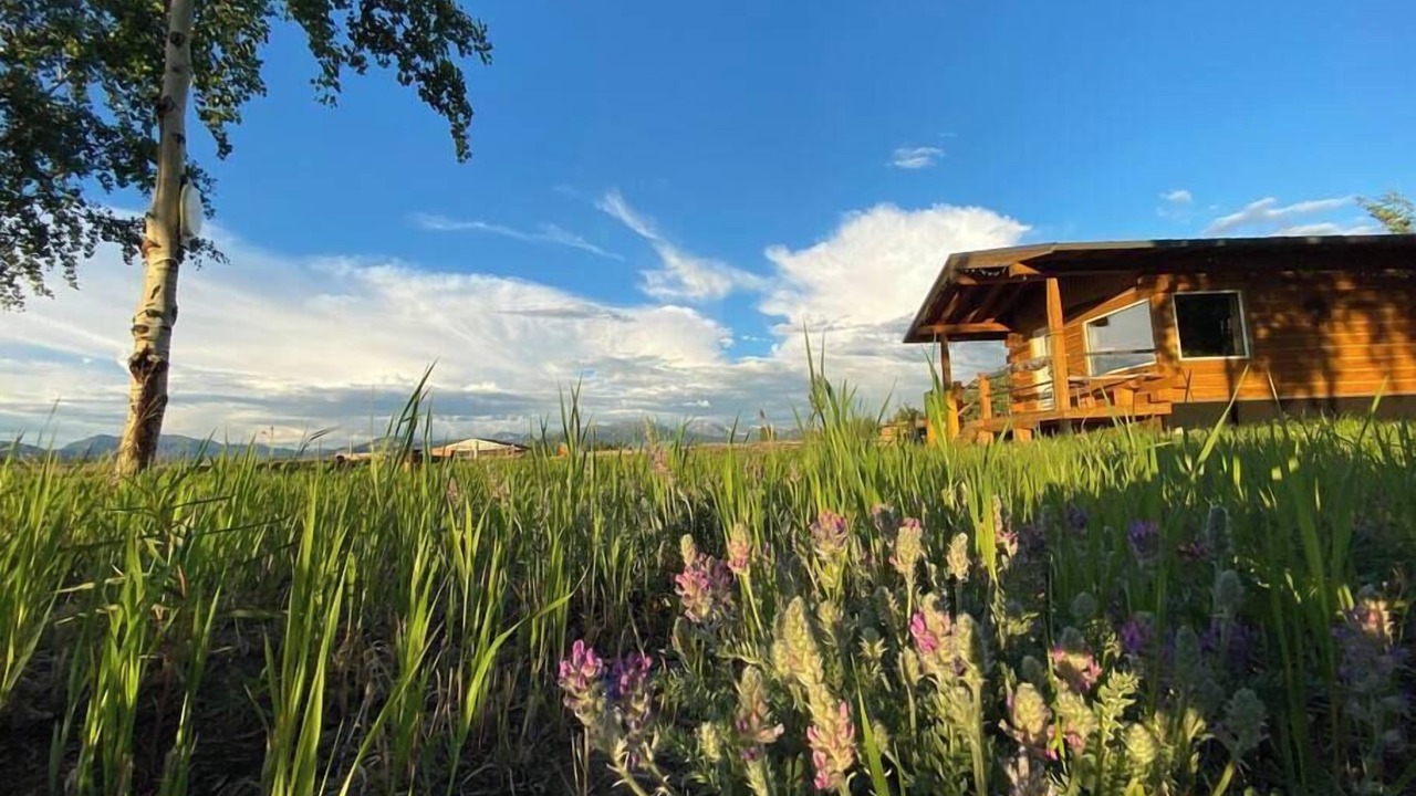 Photo of Outdoor in Whitehorse