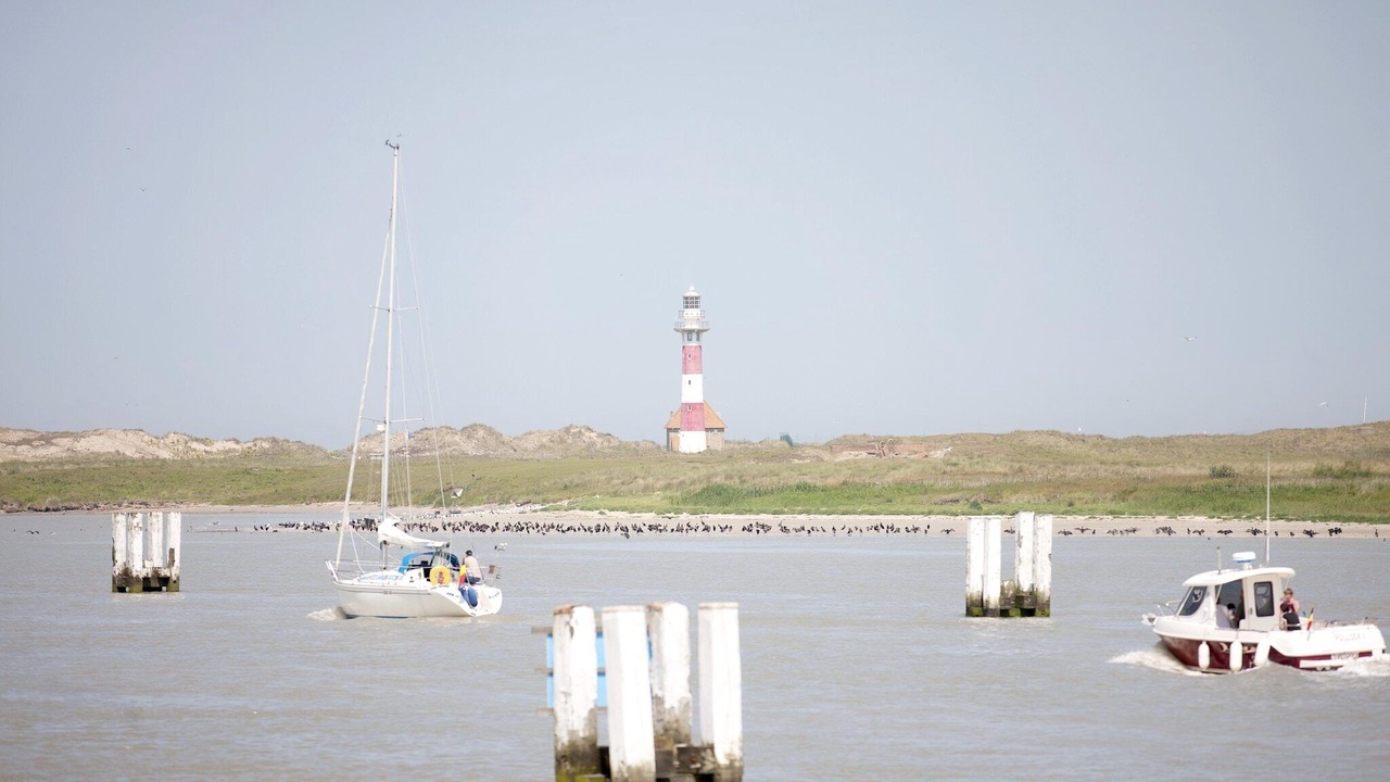 Photo of Others in Nieuwpoort-aan-Zee