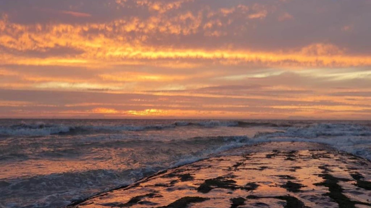 Photo of Others in Nieuwpoort-aan-Zee