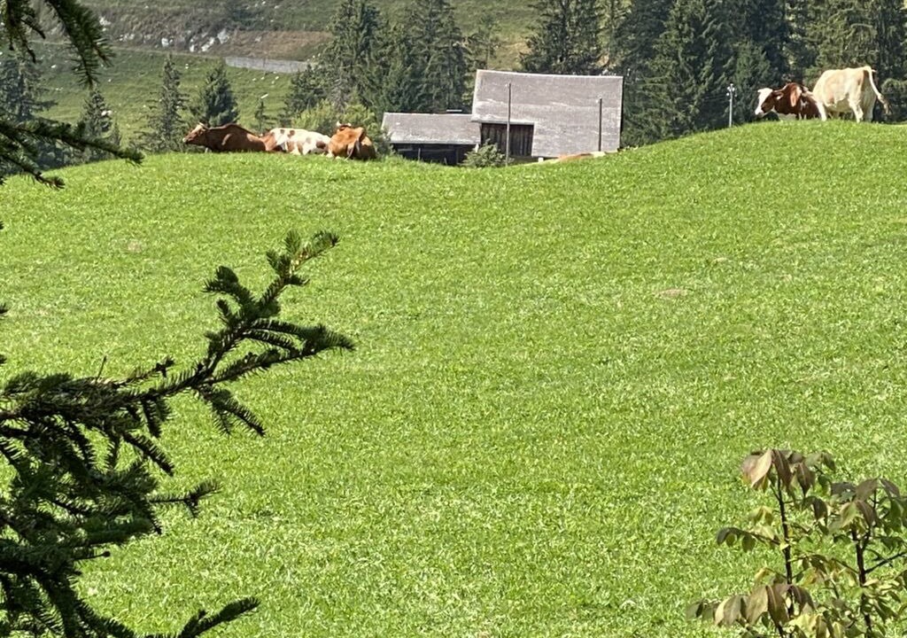 Photo of Outdoor in Chateau-d'Oex