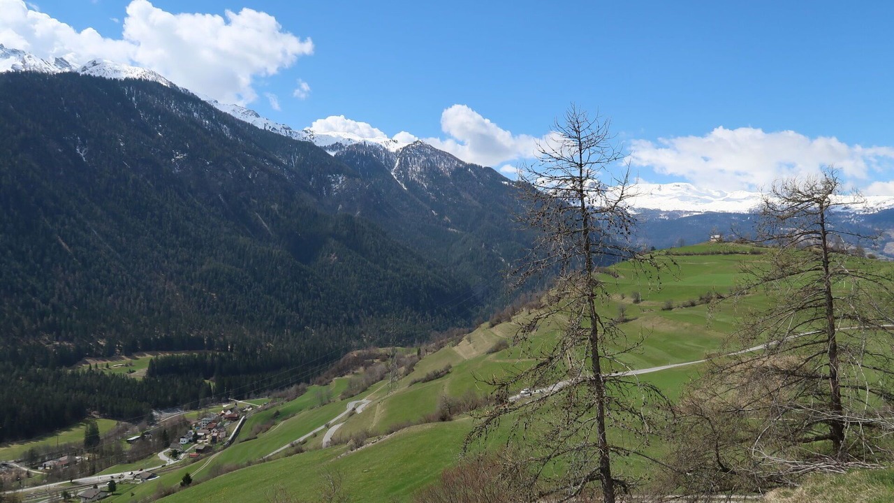 Photo of Others in Alvaneu