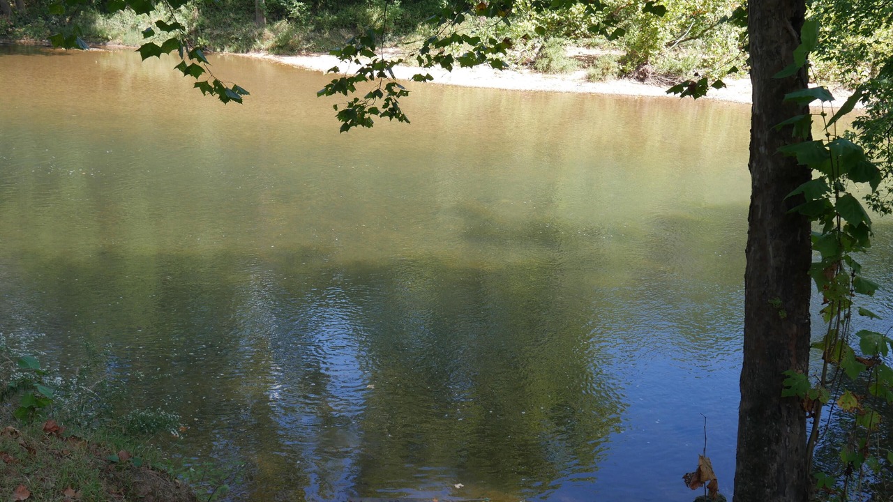 Photo of Others in Steelville