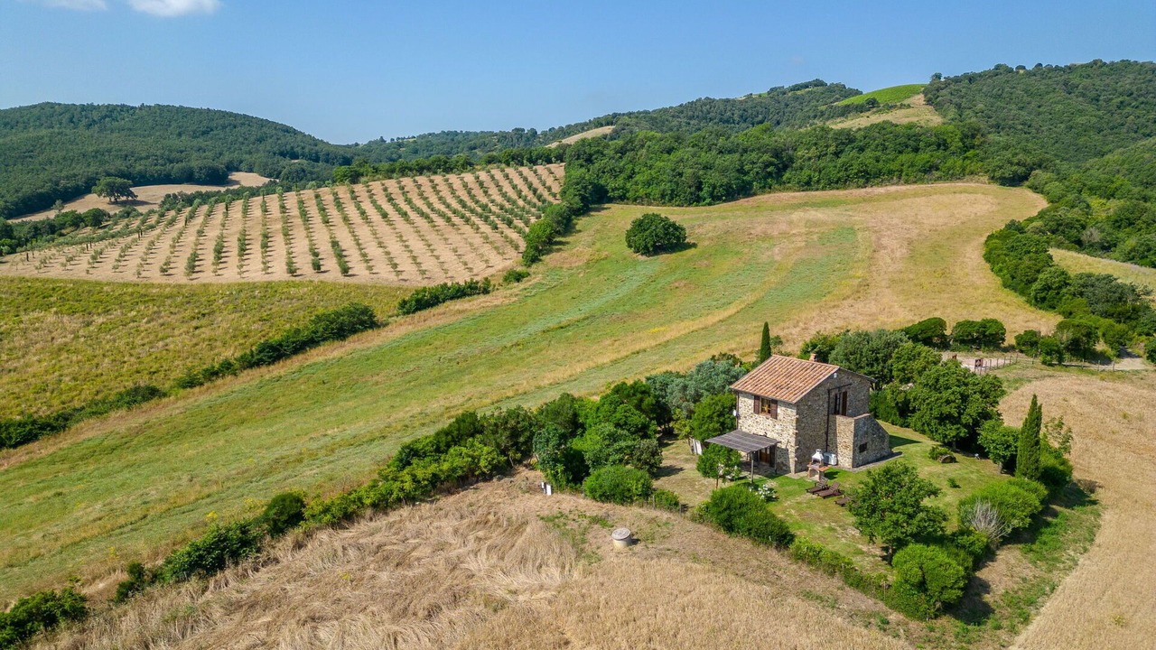 Photo of Others in Cinigiano
