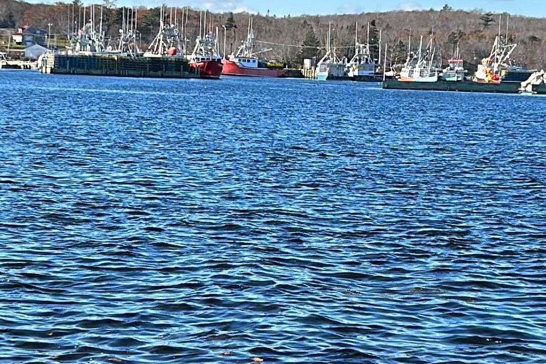 Photo of Others in Ragged Island