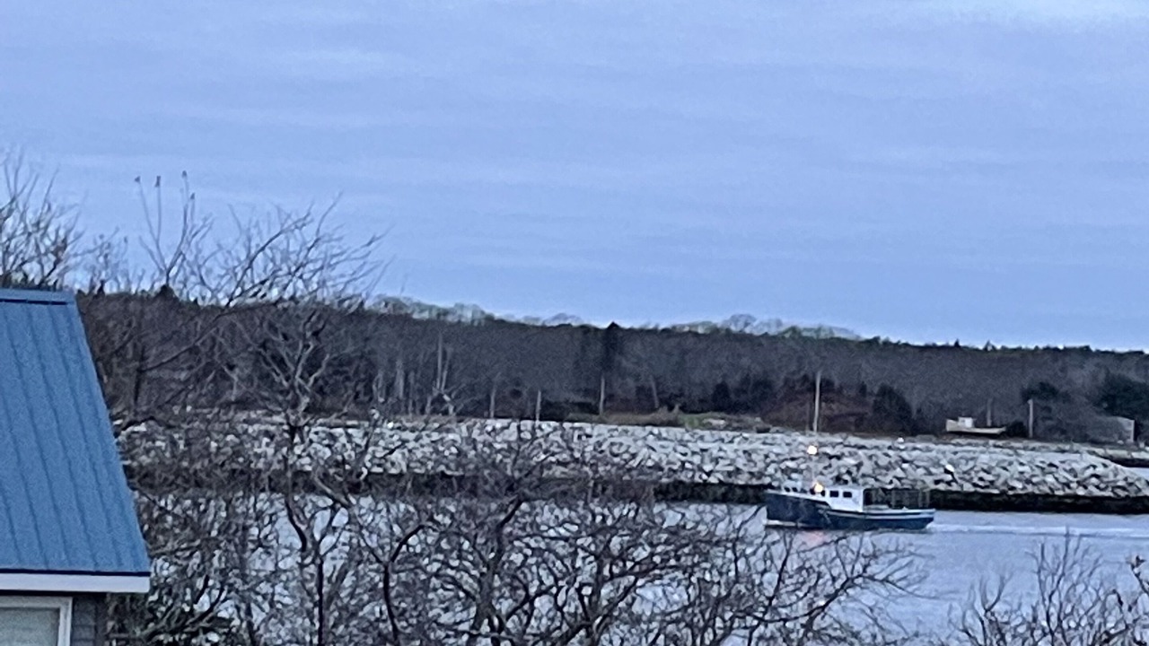 Photo of Others in Ragged Island