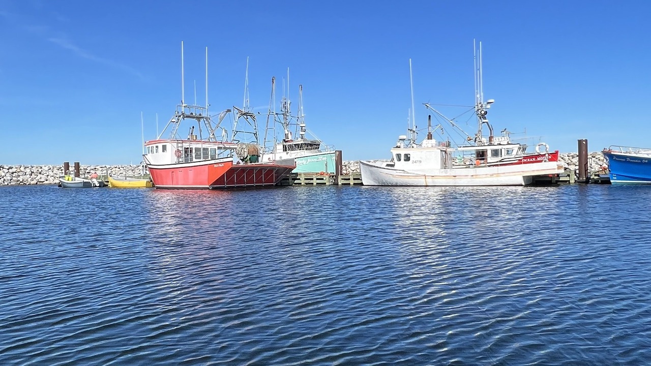 Photo of Others in Ragged Island