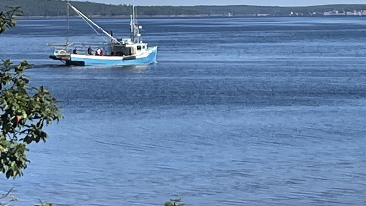 Photo of Others in Ragged Island