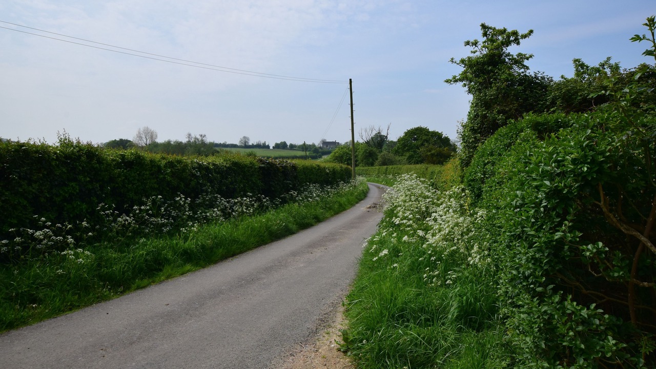 Photo of Others in Dursley