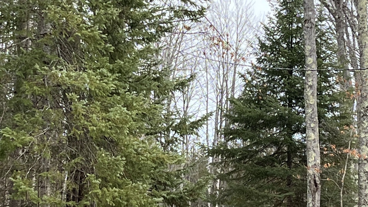Photo of Others in Rumely
