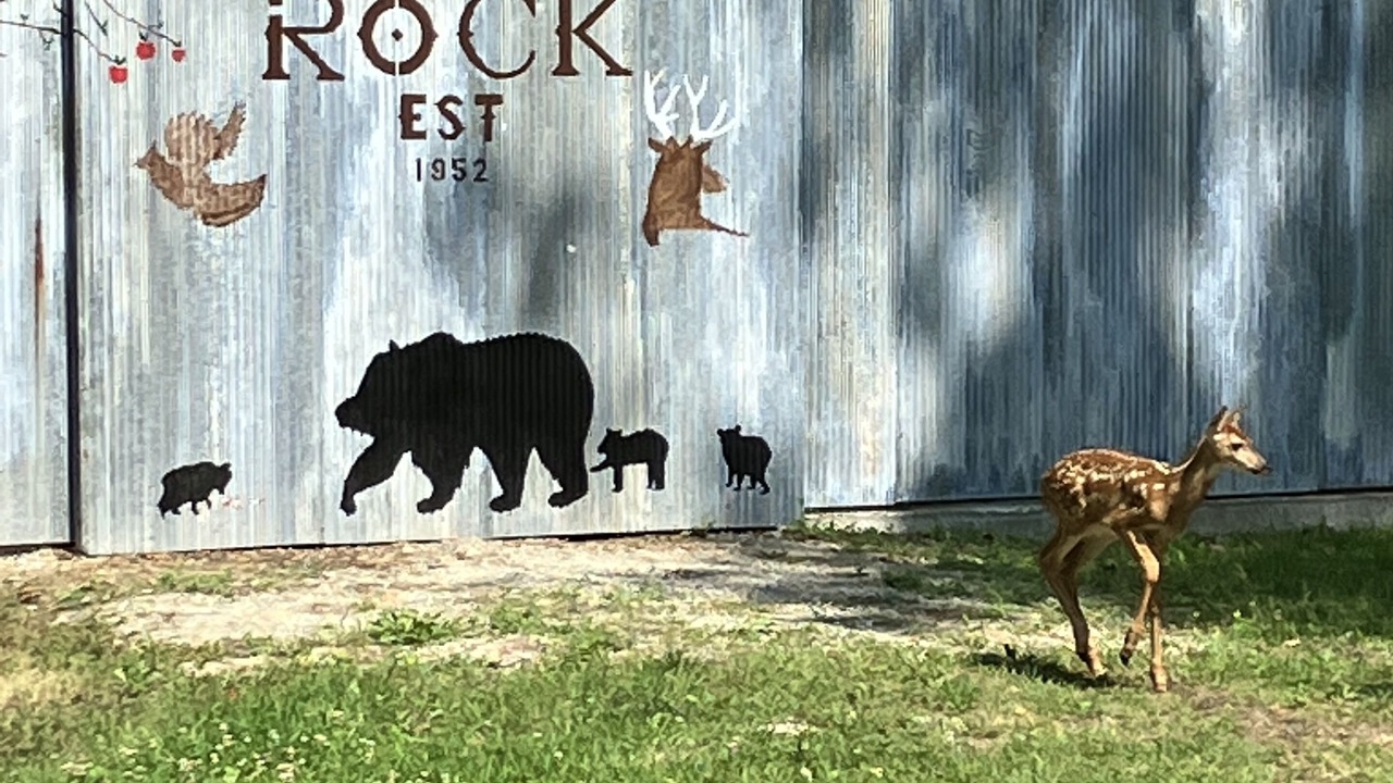 Photo of Outdoor in Rumely