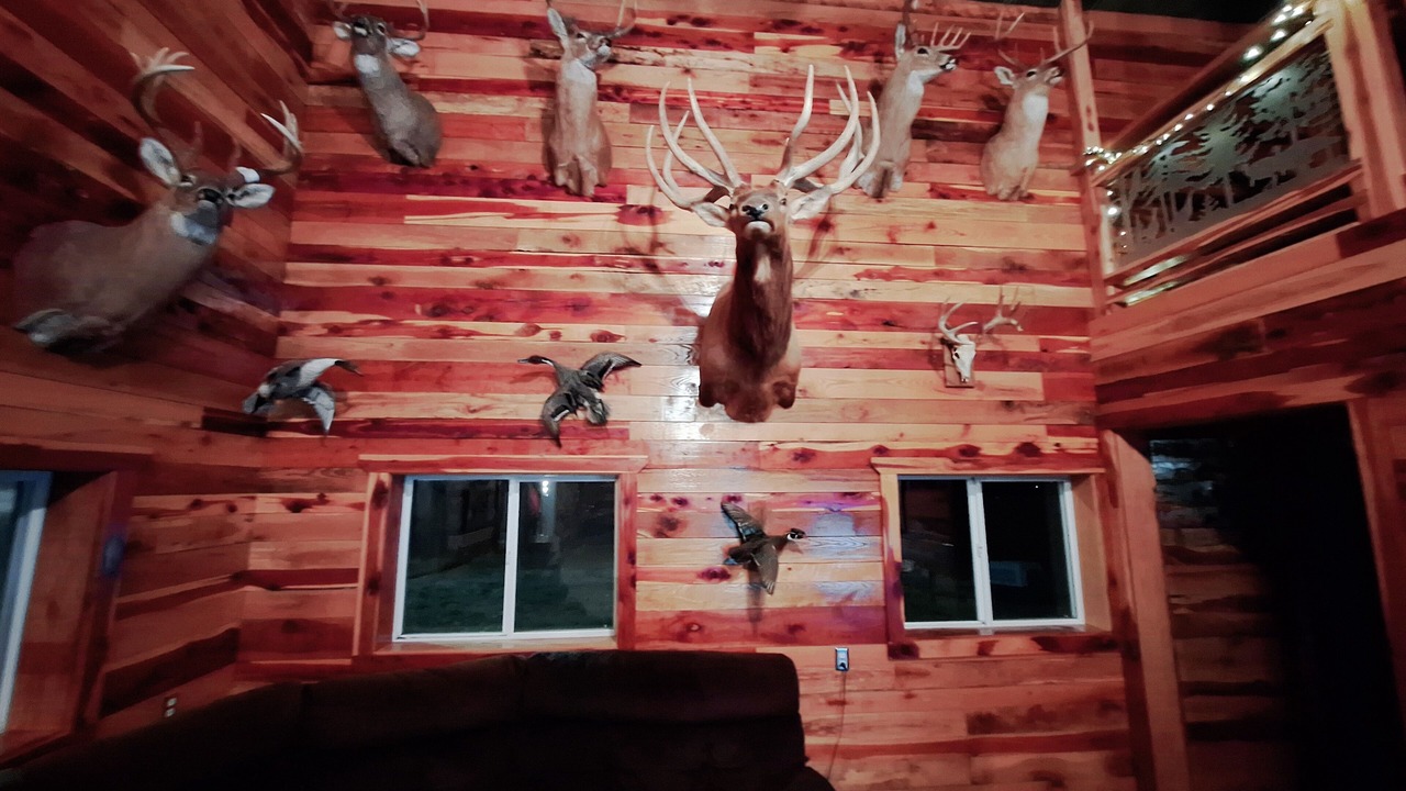 Photo of Outdoor in Belle Prairie City