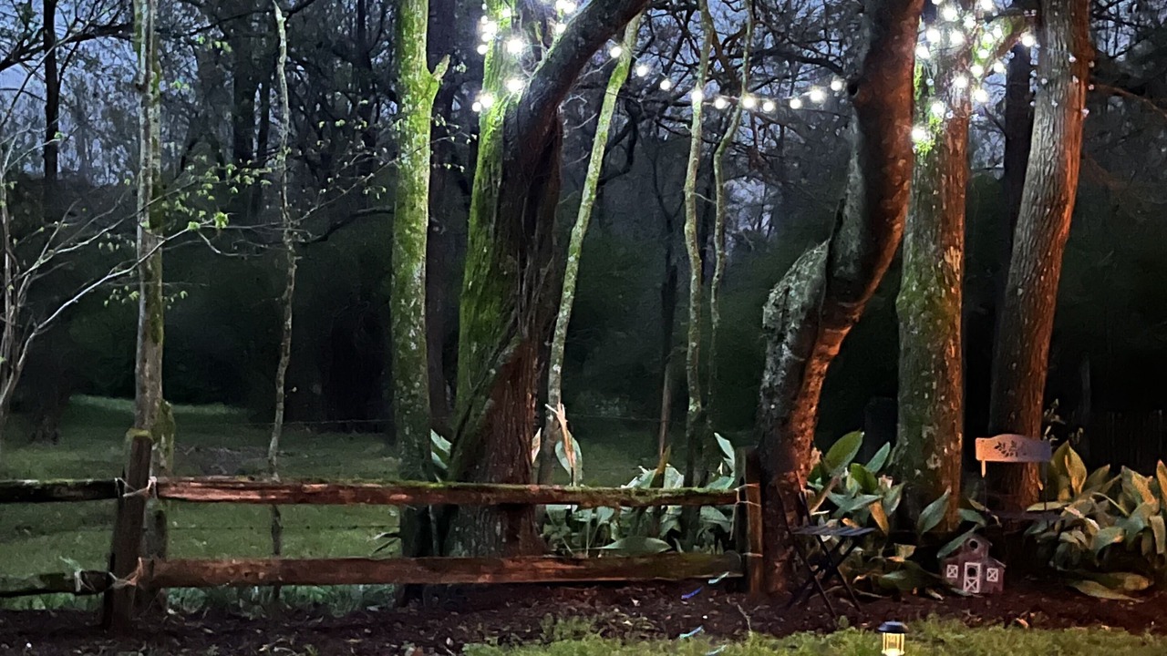 Photo of Outdoor in Canton