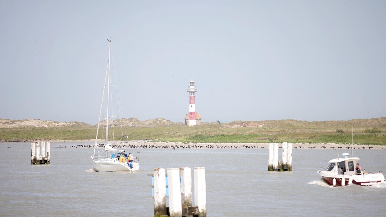 Photo of Others in Nieuwpoort-Bad