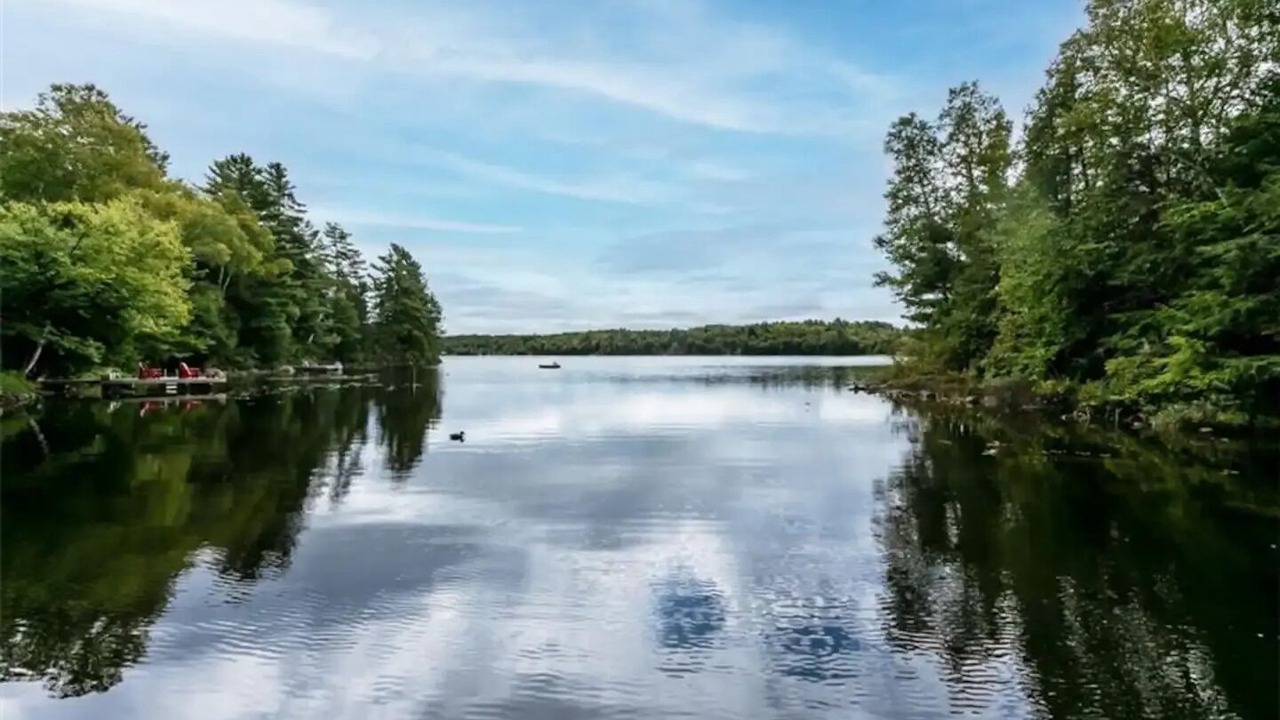 Photo of Others in Lake of Bays