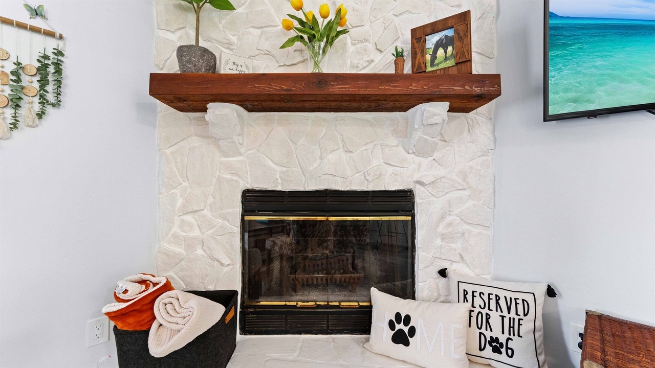 Photo of Livingroom in St. Augustine