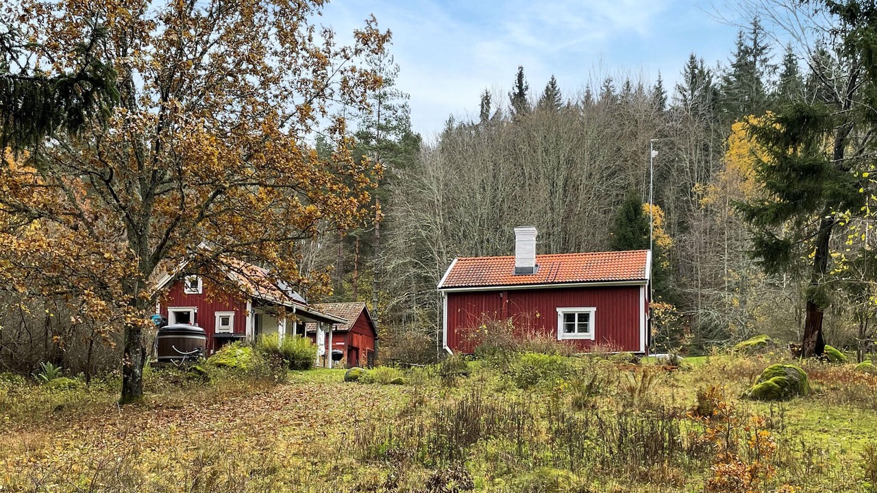 Photo of Others in Overum