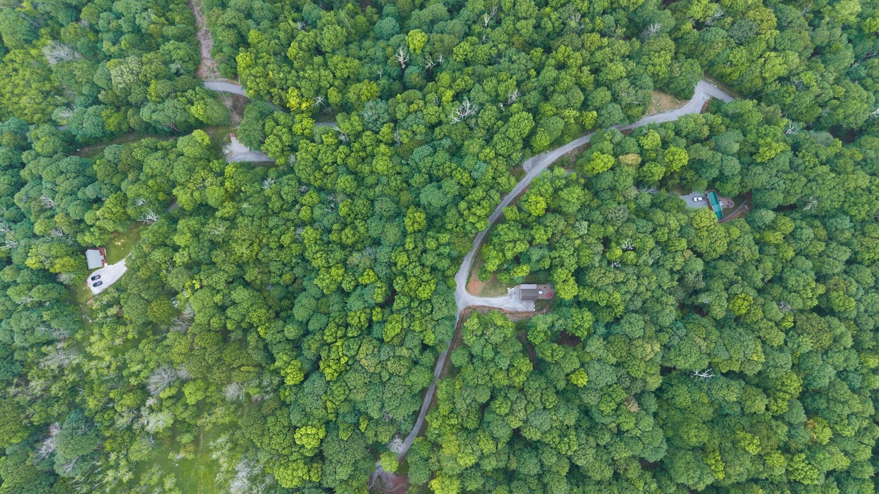 Photo of Others in Allegheny Mountains
