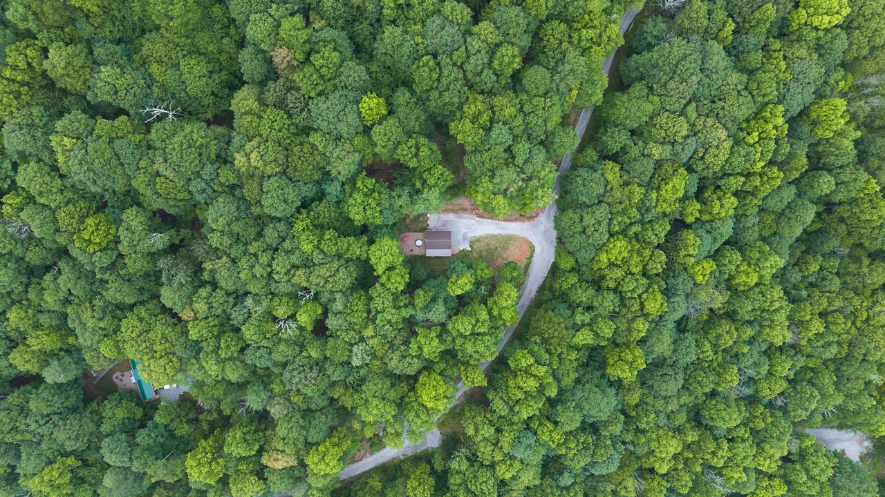 Photo of Others in Allegheny Mountains