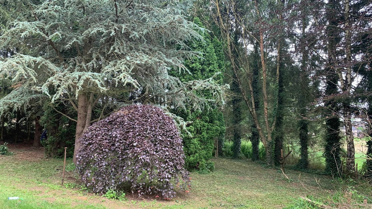 Photo of Outdoor in Ohey