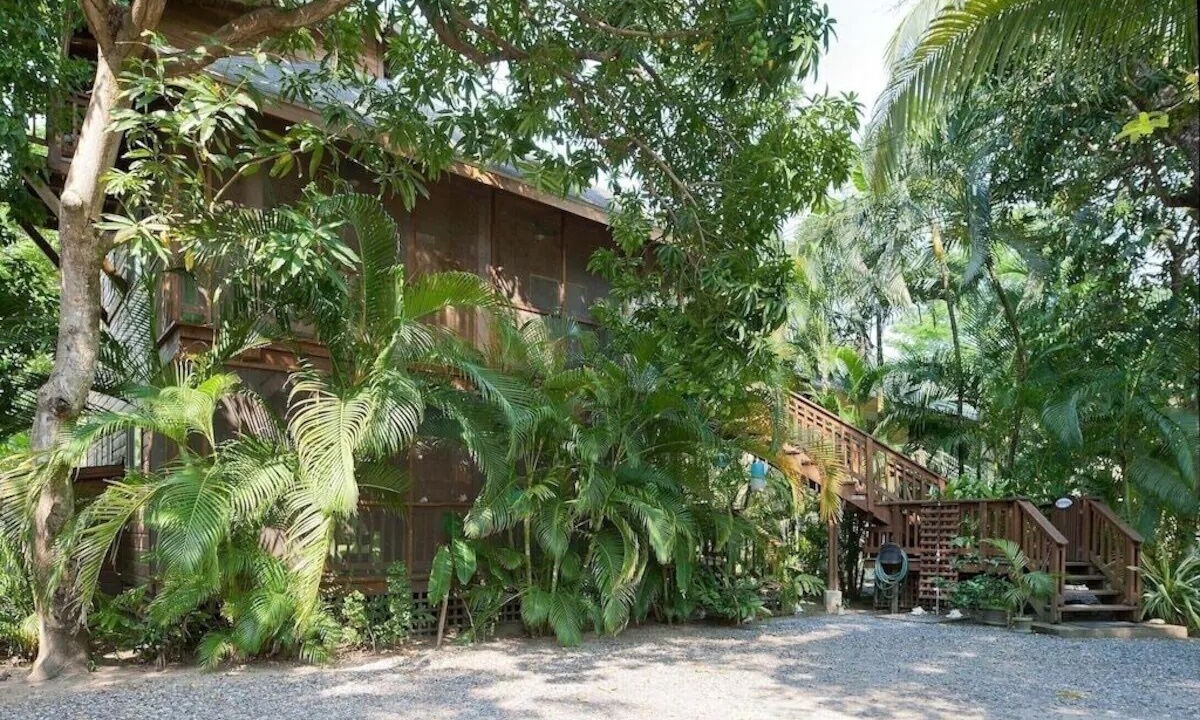 Photo of Outdoor in Antoneys Cay