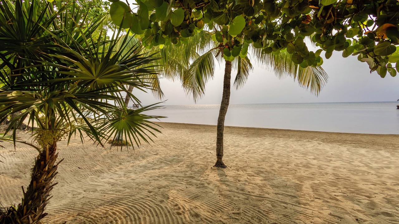 Photo of Others in Antoneys Cay