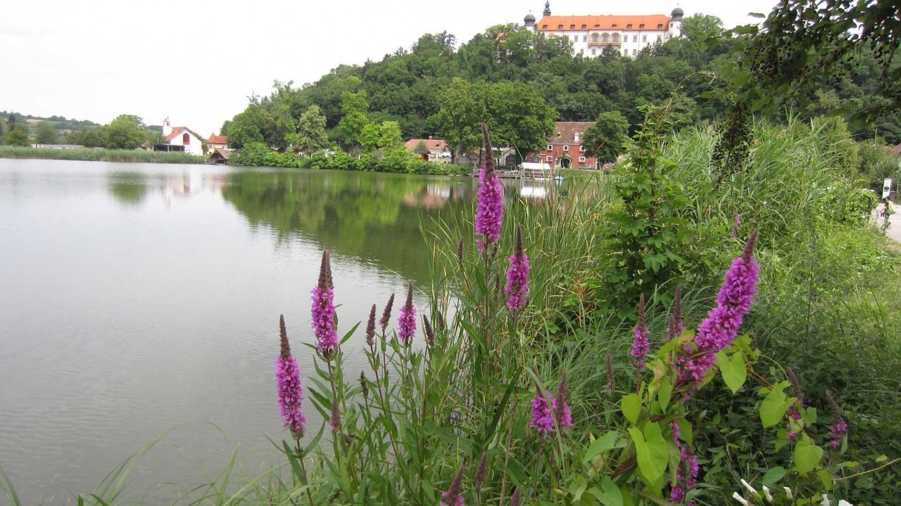 Photo of Others in Sitzenberg-Reidling
