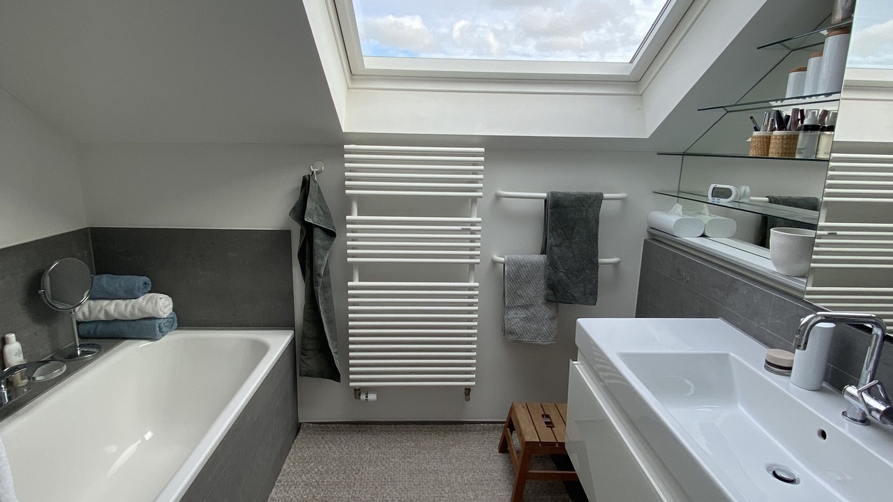 Photo of Bathroom in Horgen District