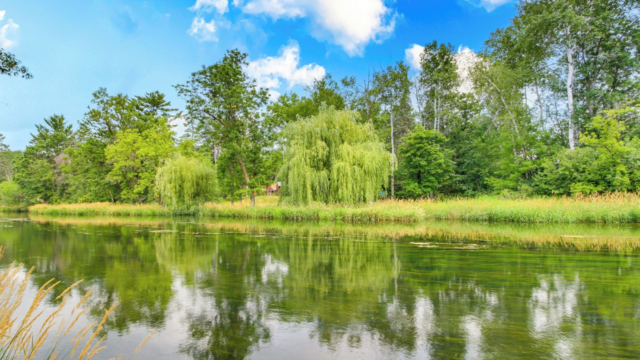 Photo of Outdoor in Pine River