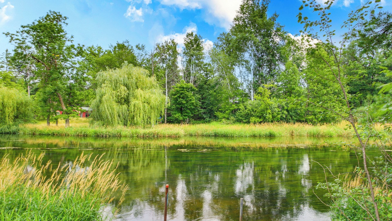 Photo of Outdoor in Pine River