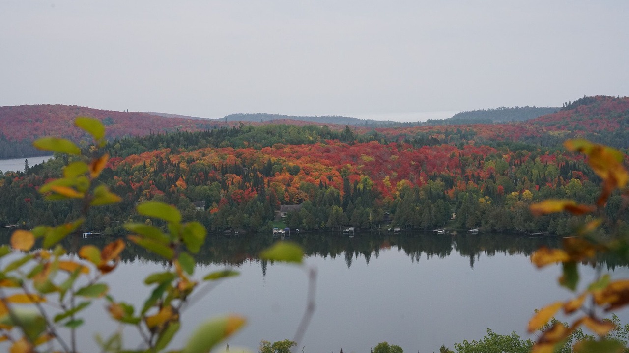 Photo of Others in Tofte