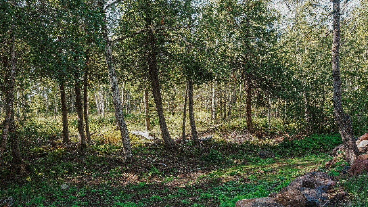 Photo of Outdoor in Tofte