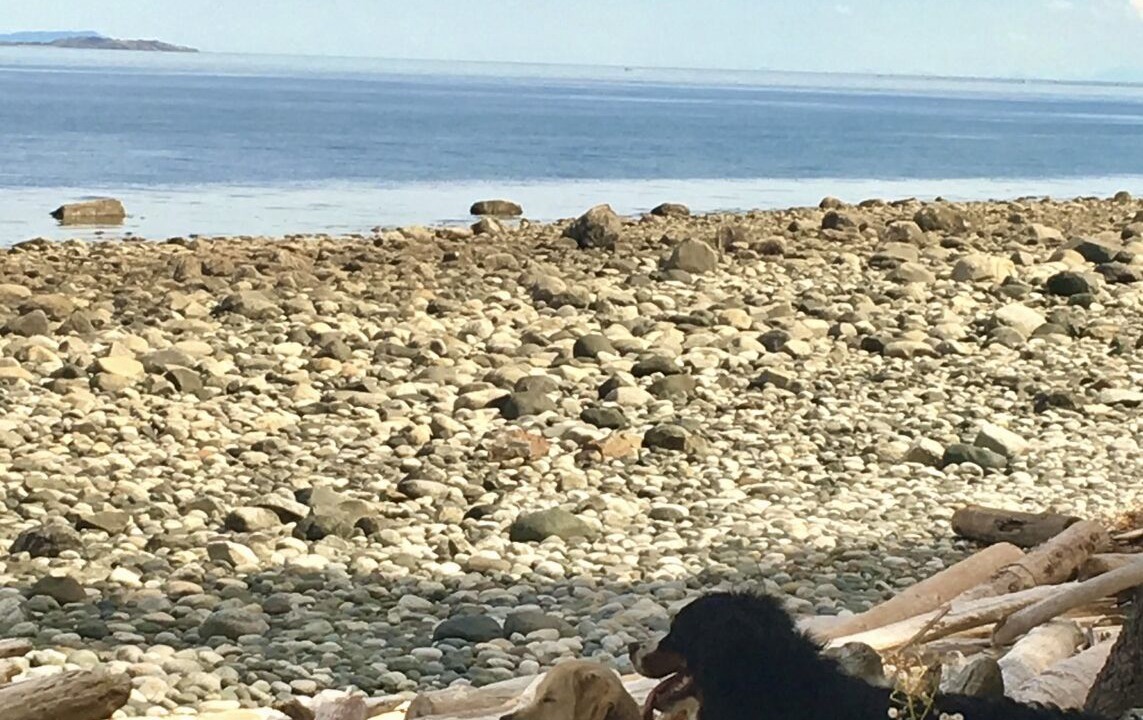 Photo of Others in Campbell River