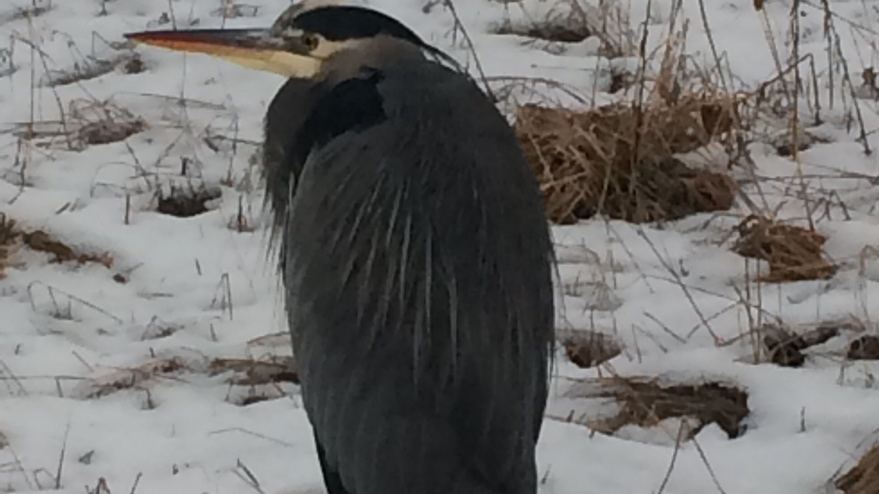 Photo of Others in Campbell River
