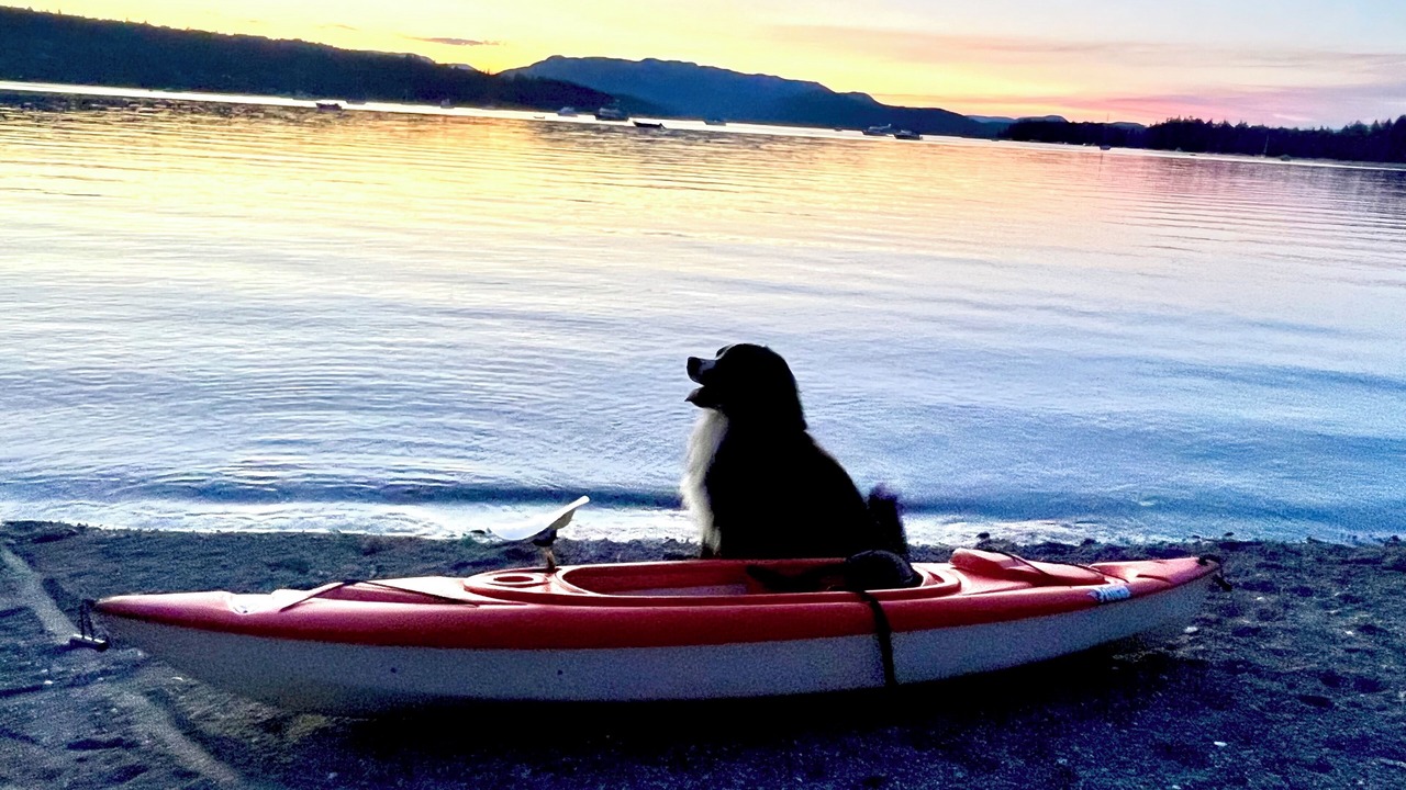 Photo of Others in Campbell River