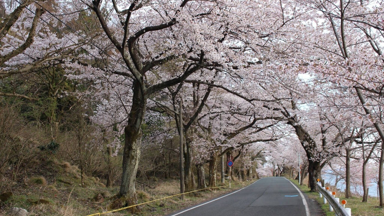 Photo of Others in Imazu