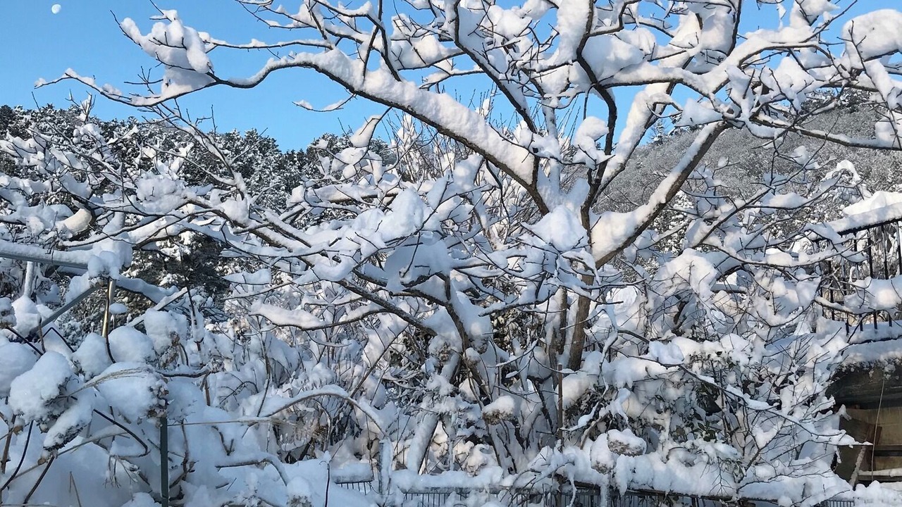 Photo of Outdoor in Imazu