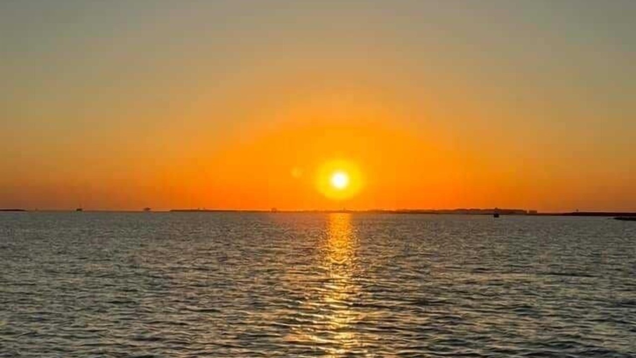 Photo of Others in Port Aransas