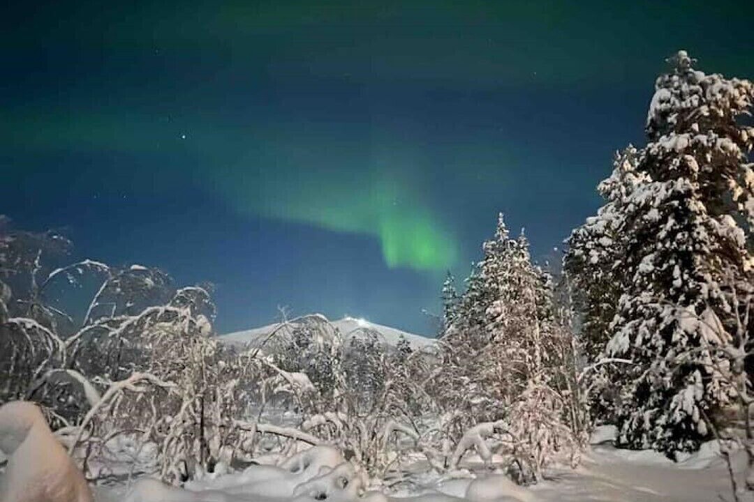 Photo of Others in Yllasjarvi