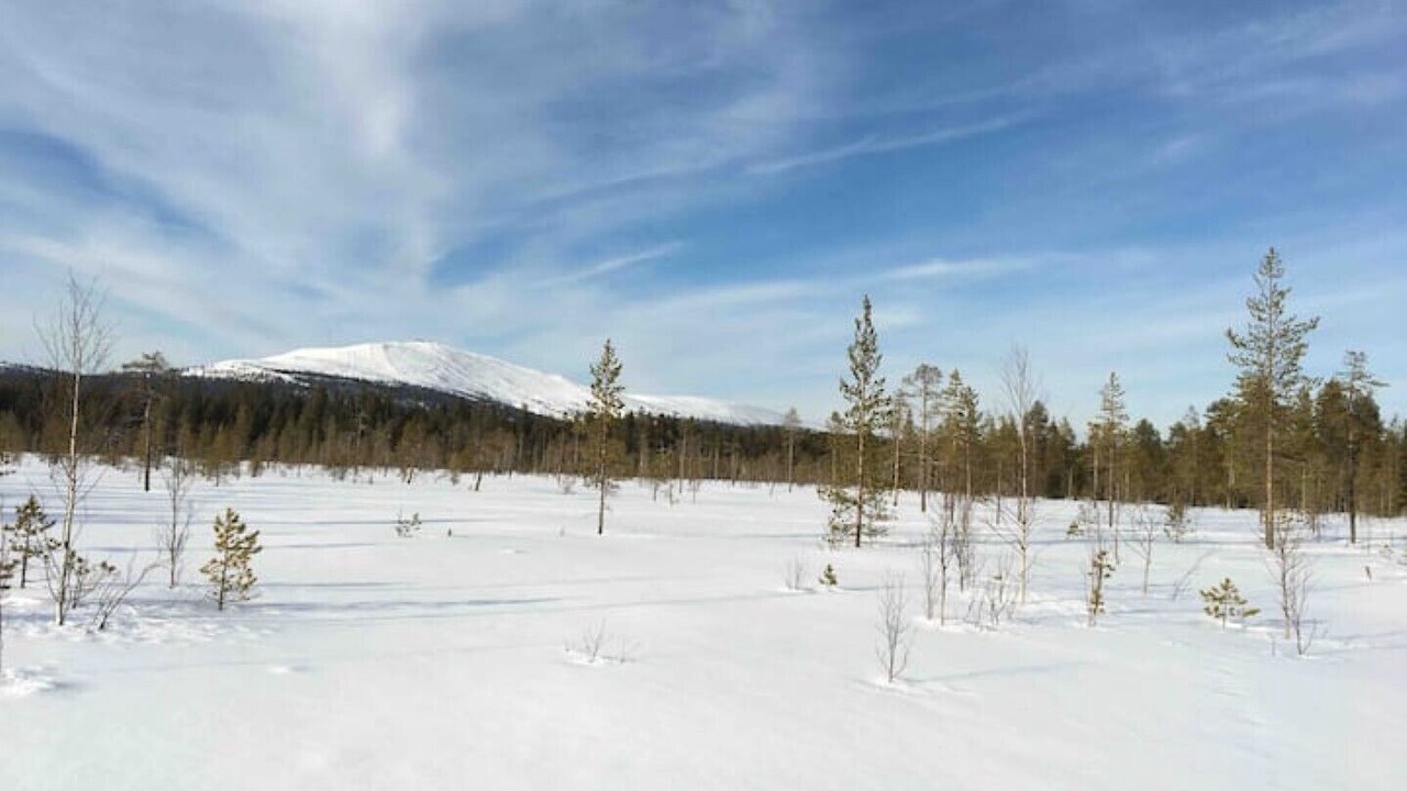 Photo of Others in Yllasjarvi