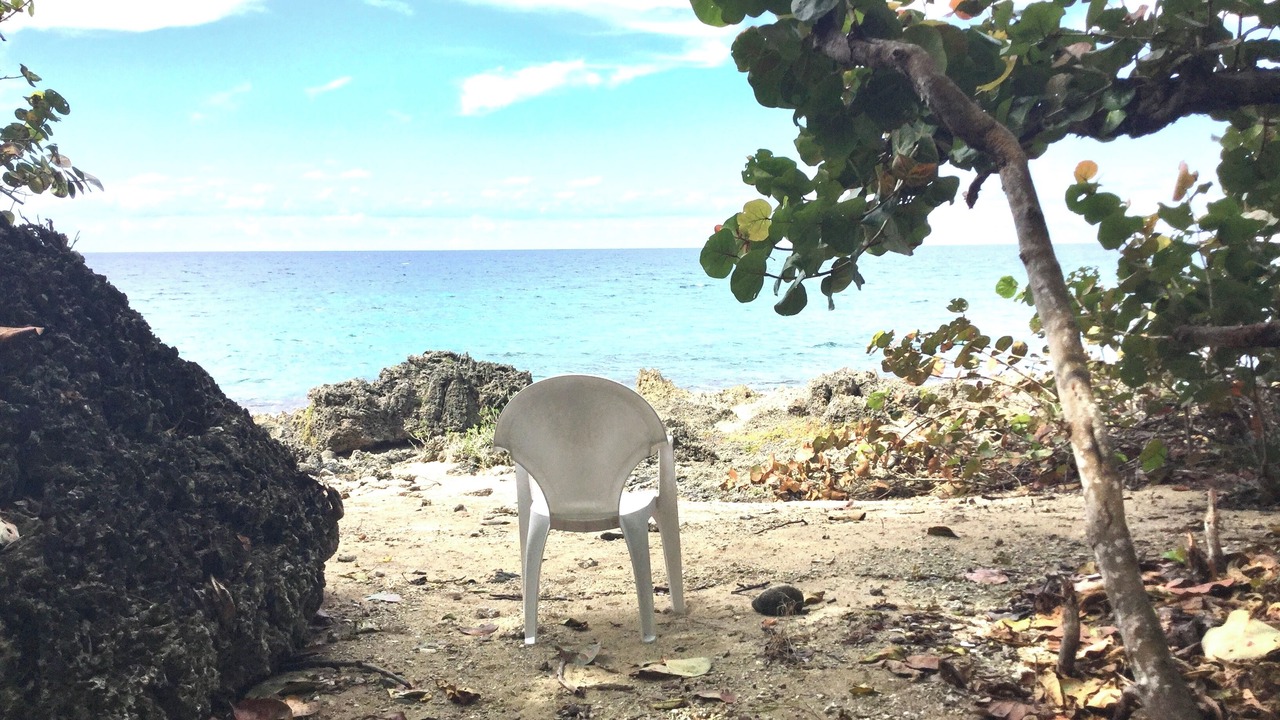 Photo of Others in Green Island