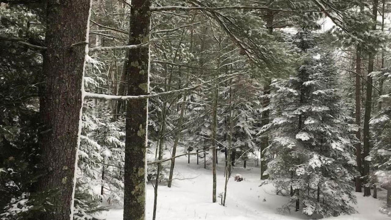 Photo of Outdoor in Eagle River