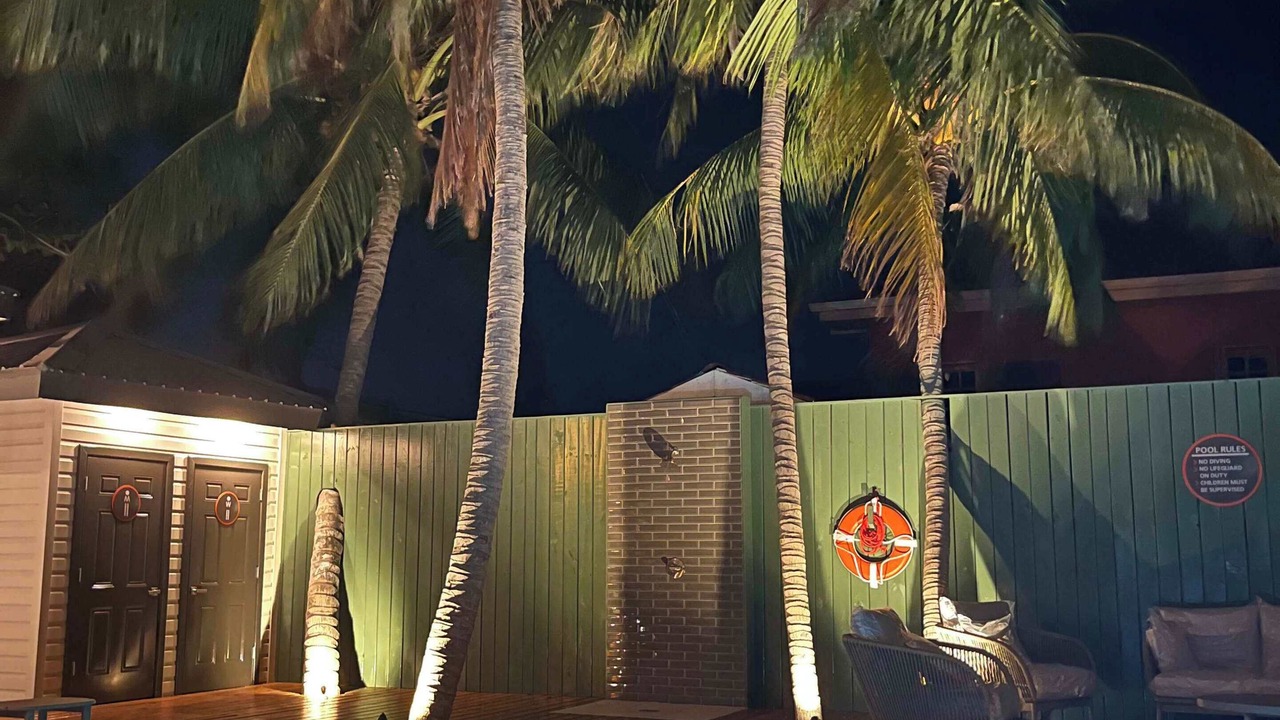 Photo of Outdoor in King's Park