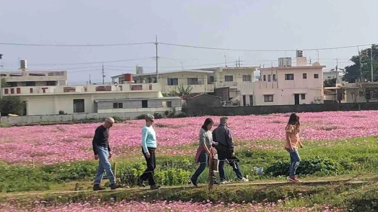 Photo of Others in Igei