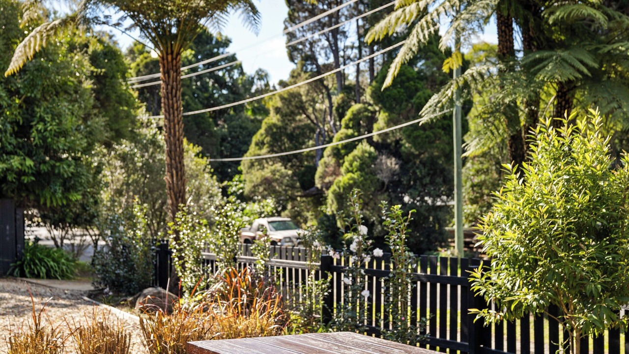 Photo of Outdoor in Springbrook
