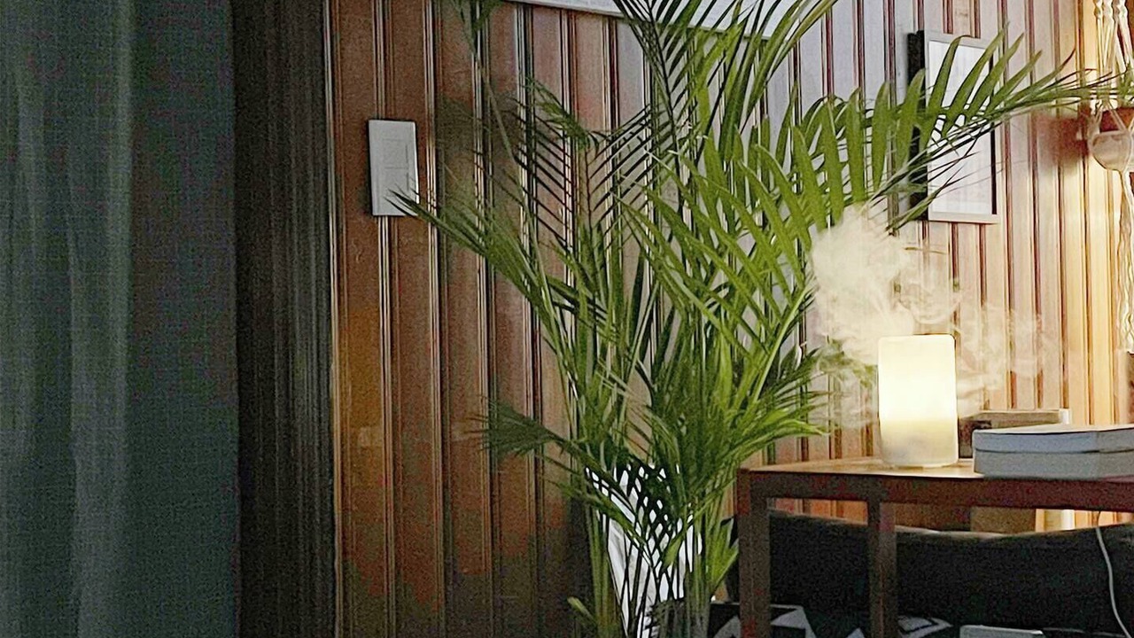 Photo of Others in Sinsu-dong