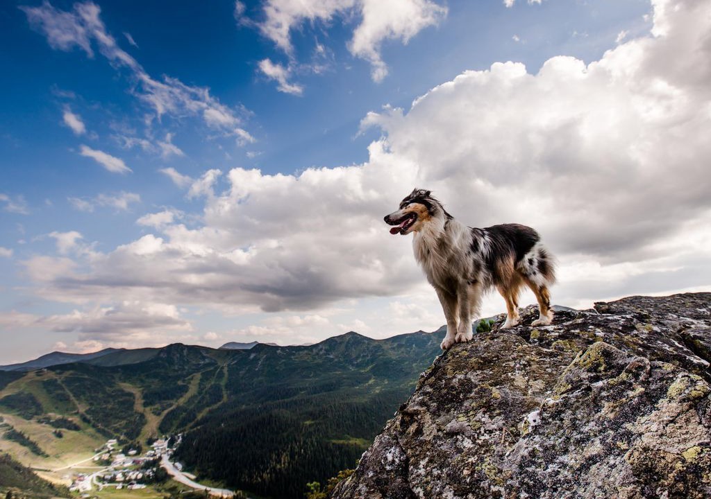 Photo of Others in Irdning-Donnersbachtal