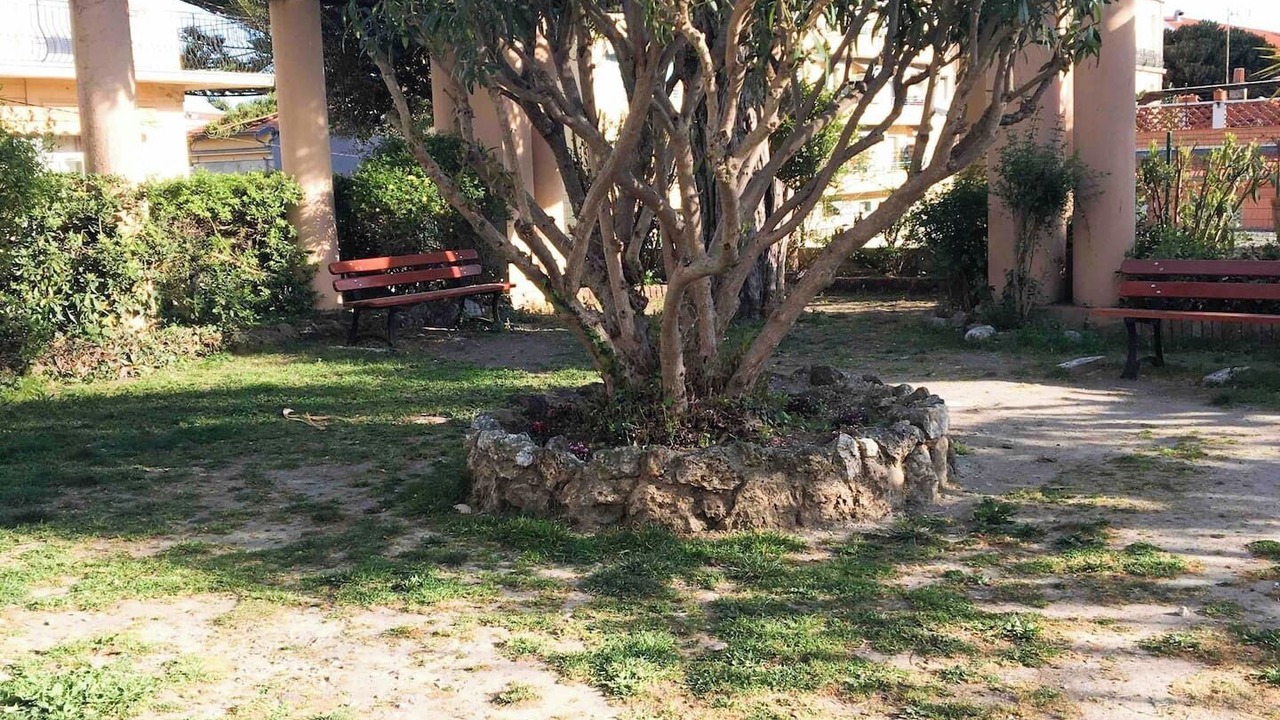 Photo of Others in Old Town