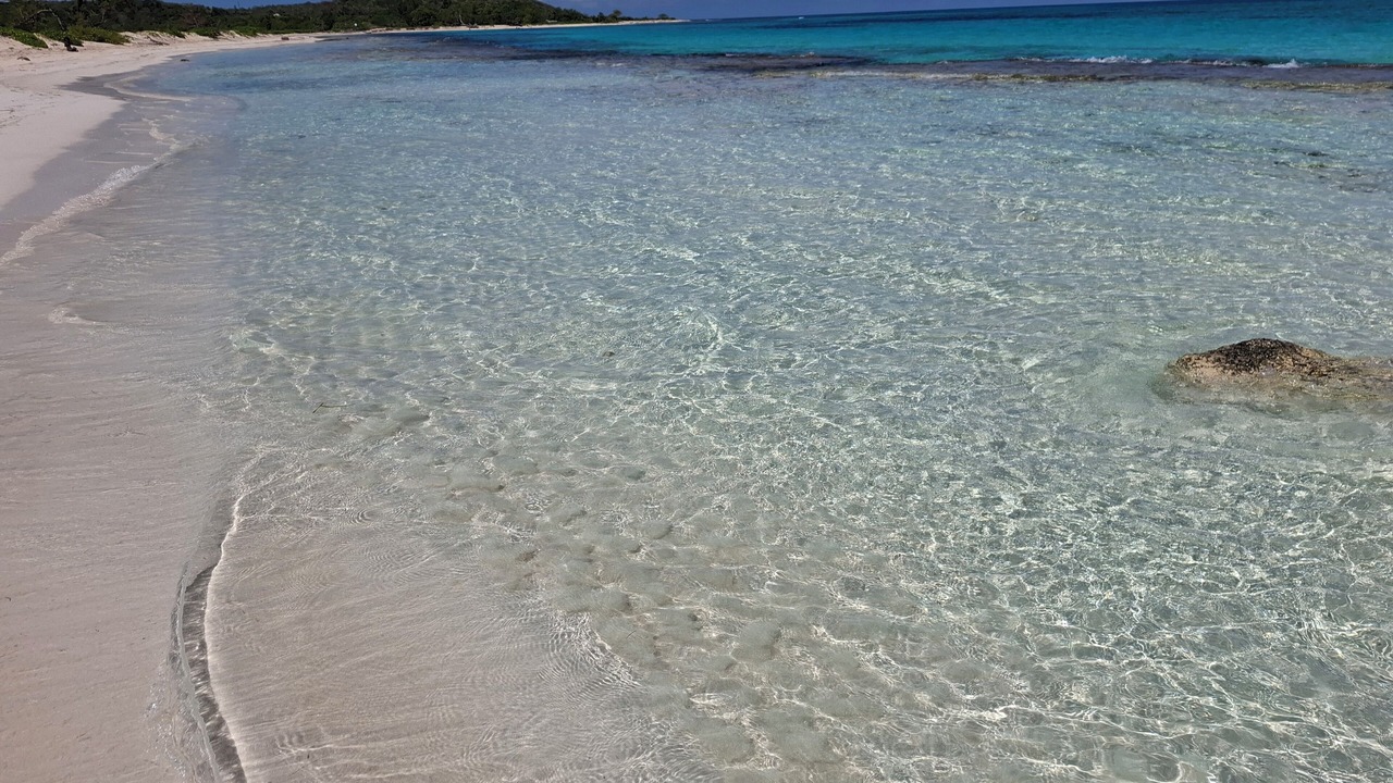 Photo of Others in Silver Sands