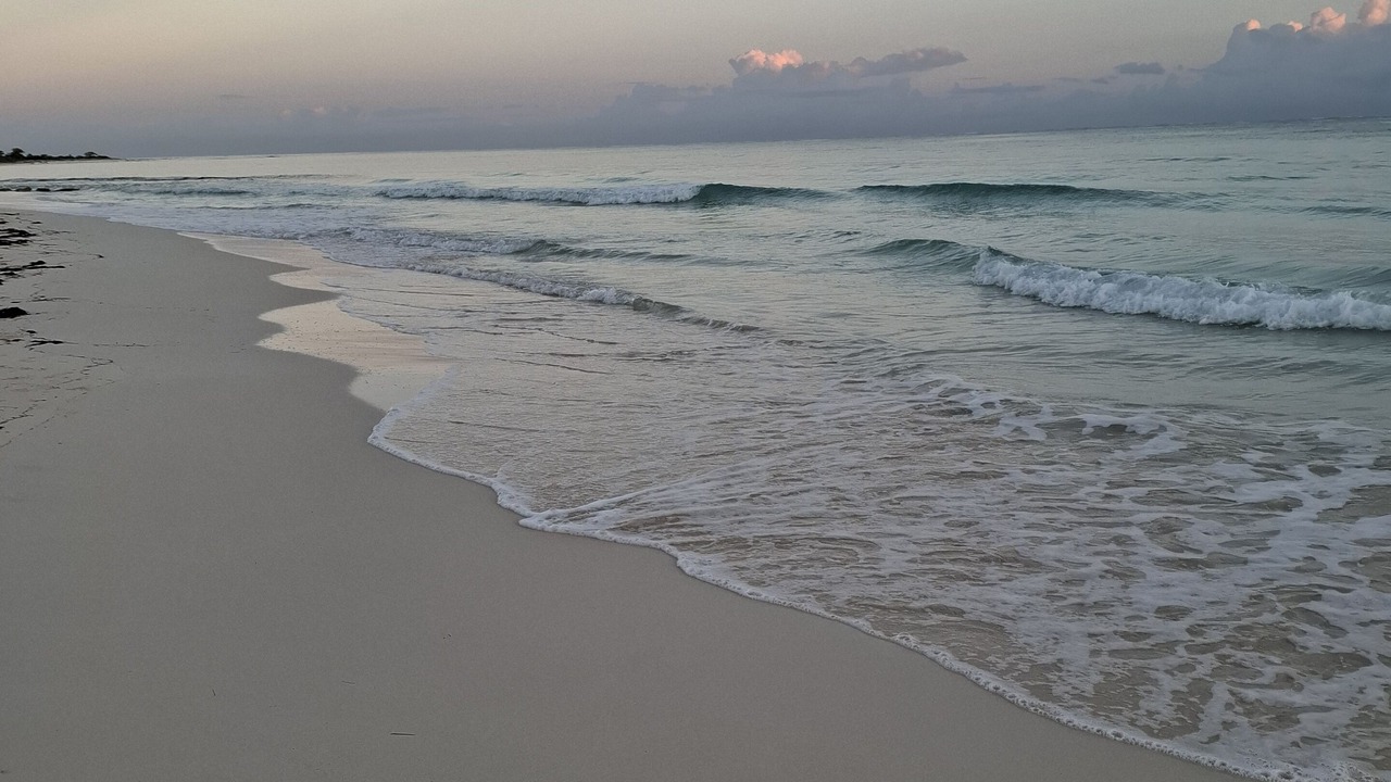 Photo of Others in Silver Sands